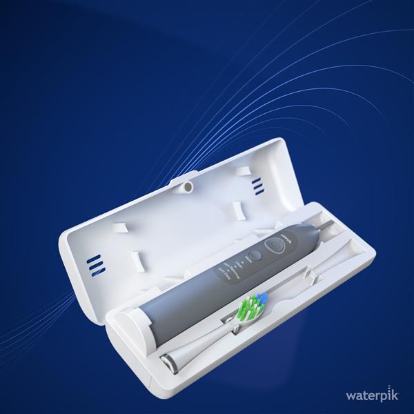 Gray Waterpik? Sensonic? Electric Toothbrush